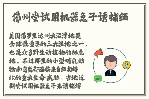 杭州品茶喝茶资源预约